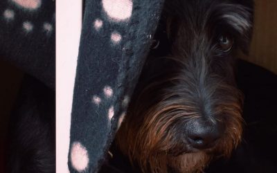 Encontrarnos en el cine