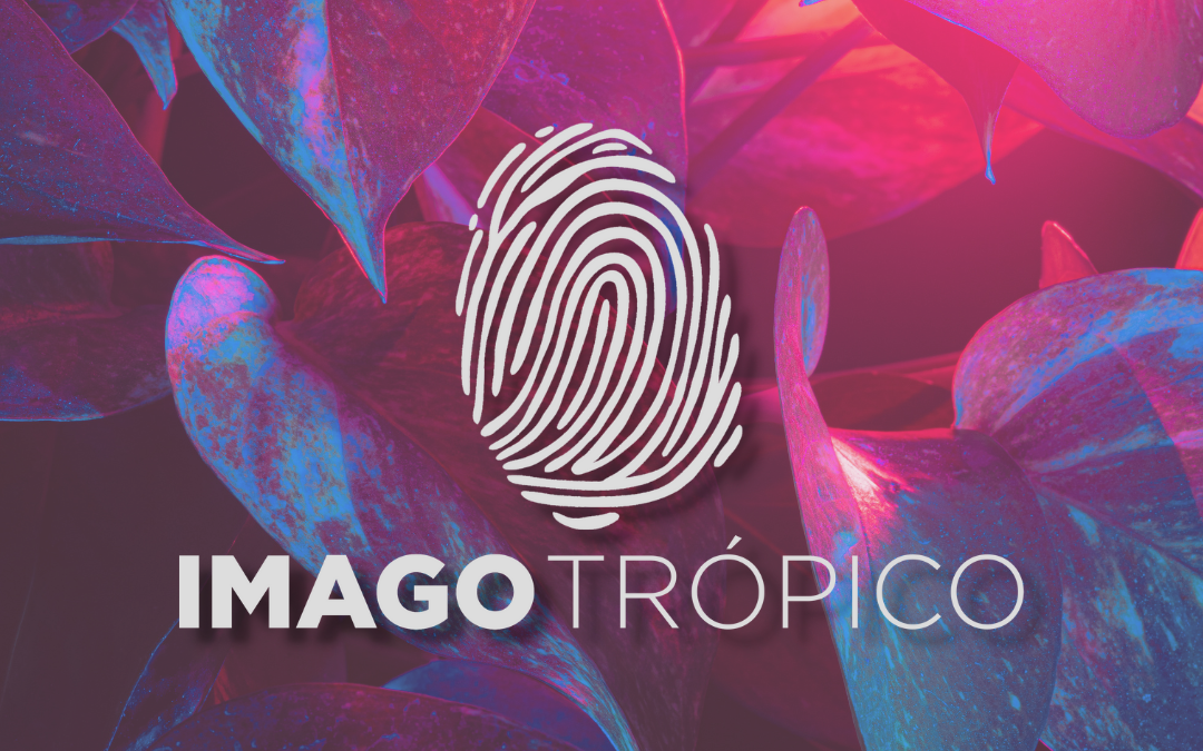 La estrategia de comunicación en una organización social