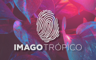 La estrategia de comunicación en una organización social